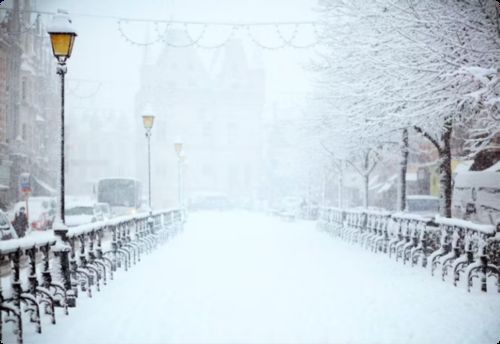 Latest company news about آغاز سفر زمستانی شما: استقبال از لی‌دونگ